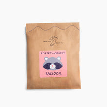 Load image into Gallery viewer, Robert the Ornery Raccoon - DIY Craft Kit