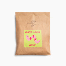 Load image into Gallery viewer, Winnie the Wry Worm - DIY Craft Kit