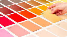 Load image into Gallery viewer, Palette Scout