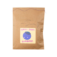 Load image into Gallery viewer, Florian the Bashful Blueberry - DIY Craft Kit