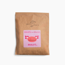 Load image into Gallery viewer, Xochitl the Zealous Axolotl - DIY Craft Kit
