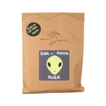 Load image into Gallery viewer, Elna the Peaceful Alien - DIY Craft Kit
