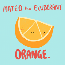 Load image into Gallery viewer, Mateo the  Exuberant Orange - DIY Craft Kit
