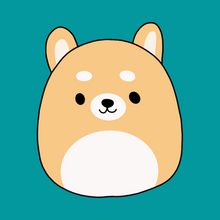 Load image into Gallery viewer, Make Your Own &quot;Squishy Fellow&quot; Half Day Camp
